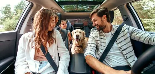 Rodzina z psem jedzie samochodem, na który zaciągnęła kredyt